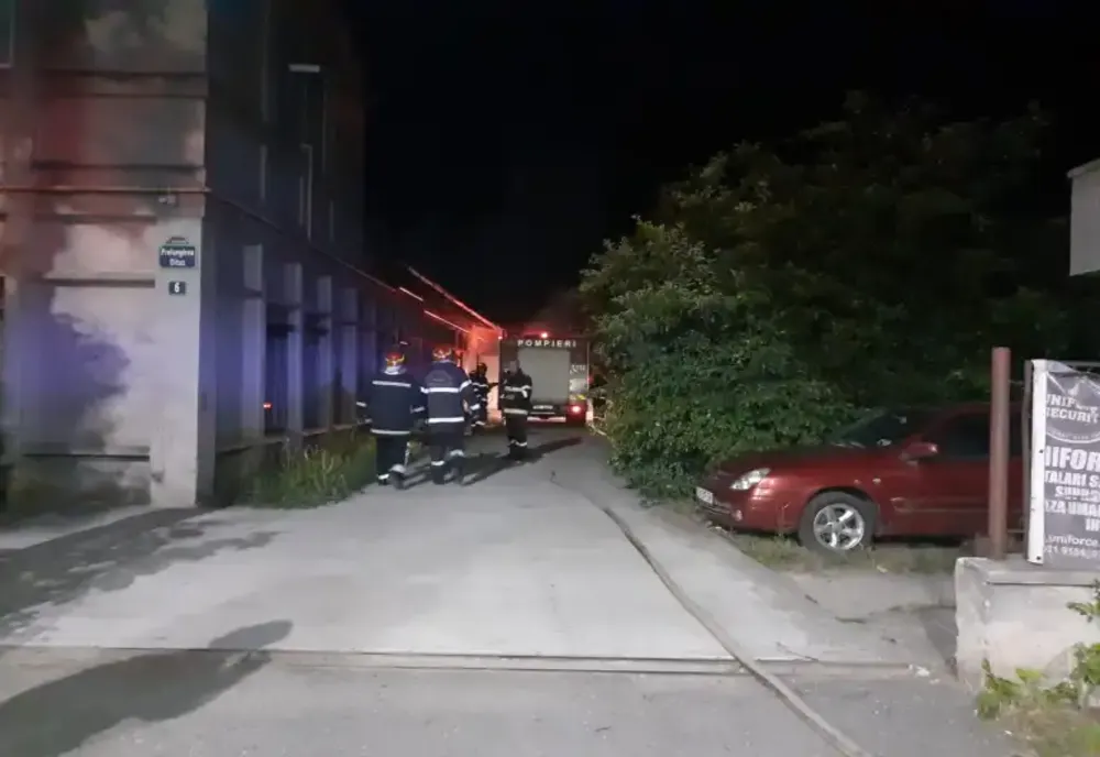 Ilfov. Incendiu la o hală de depozitare din 1 Decembrie