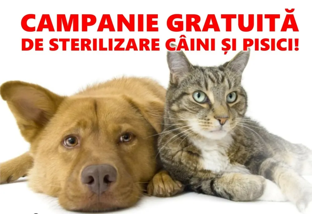 "Campanii record" de sterilizări gratuite pentru câini şi pisici de rasă comună