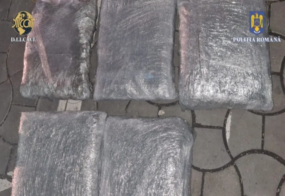 Ilfov. Bărbaţi prinşi în flagrant delict cu peste 10 kg. de cannabis