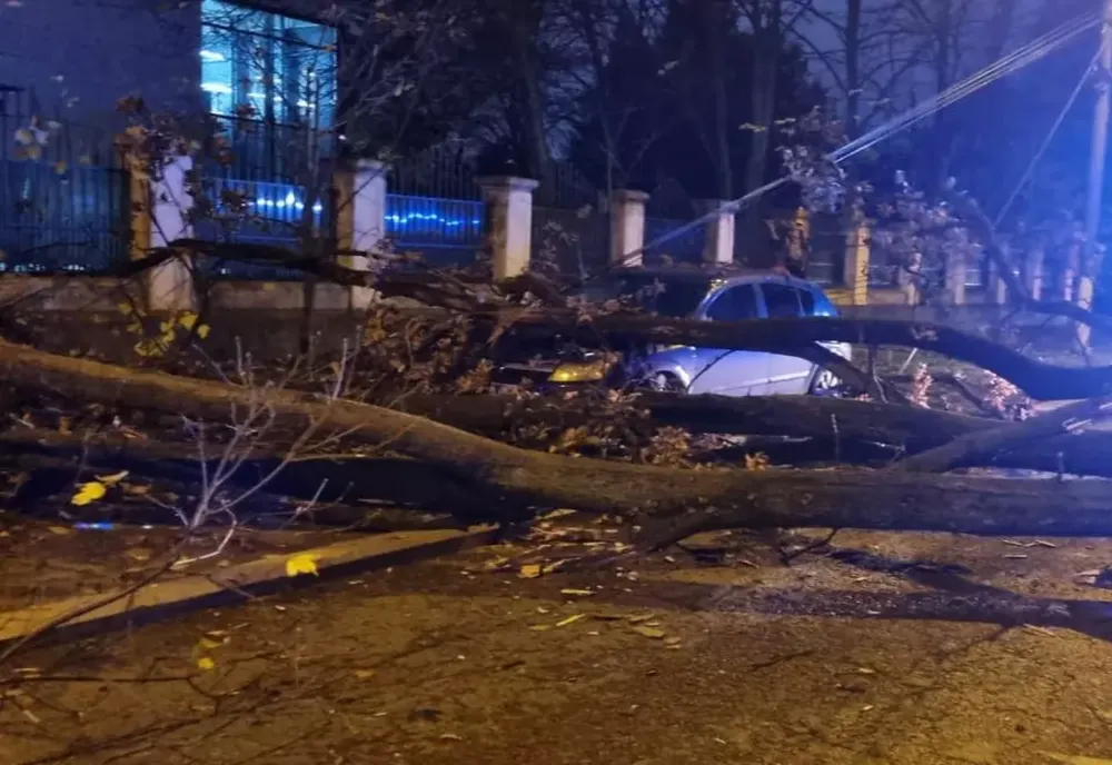 Un bărbat a fost prins sub un copac care a căzut în apropierea sediului Jandarmeriei Române
