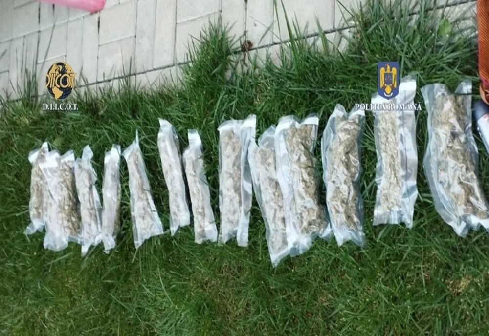 Tânăr din Ilfov, cercetat pentru trafic de droguri. El este suspectat că furniza canabis unor consumatori din Teleorman