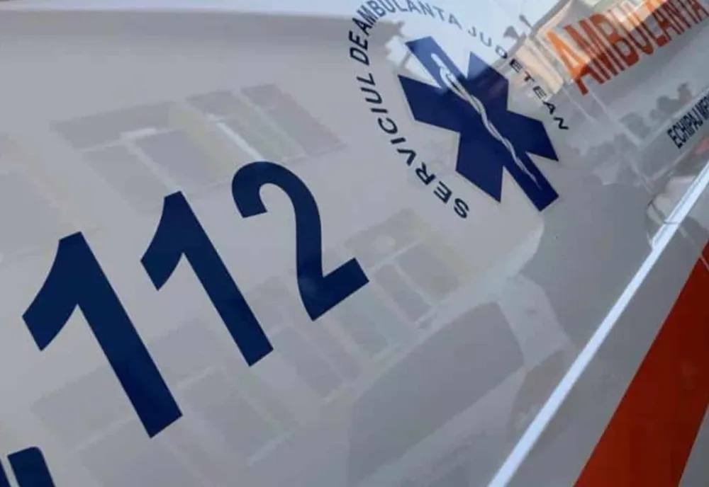 Ilfov. Bărbat lovit de un copac în cădere în Pădurea Chitila-Mogoșoaia