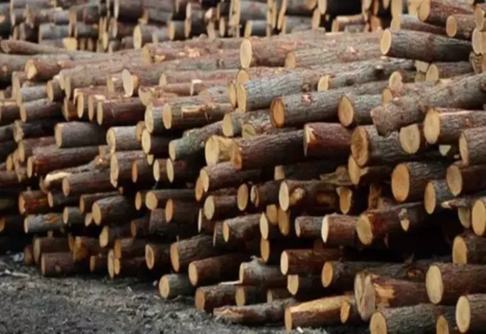 Se anunță o iarnă de coșmar pentru românii cu sobe. Lemnele de foc s-au scumpit cu 15%