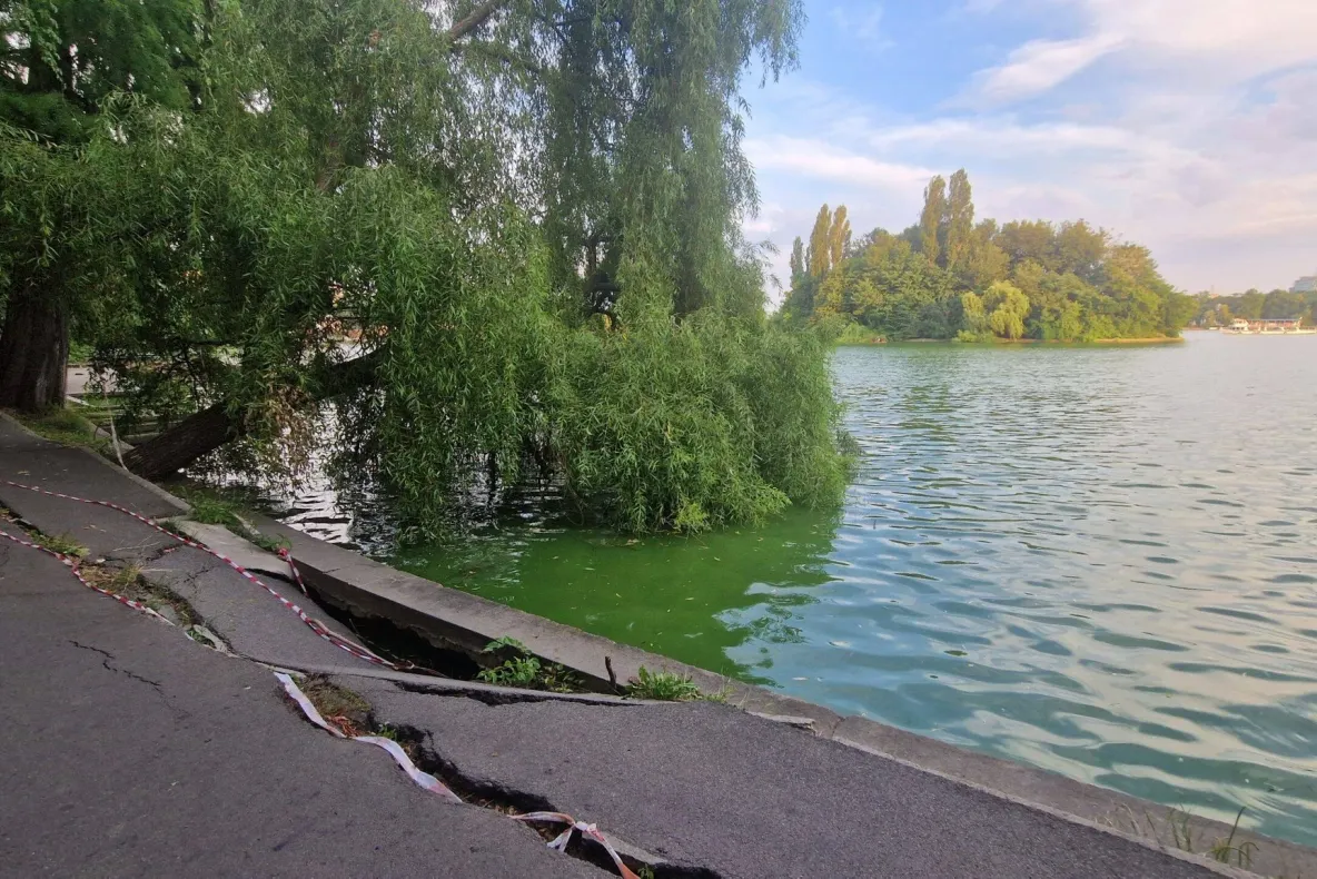 Descoperire neașteptată după scăderea nivelului Lacului Herăstrău. Ce au găsit muncitorii pe fundul apei