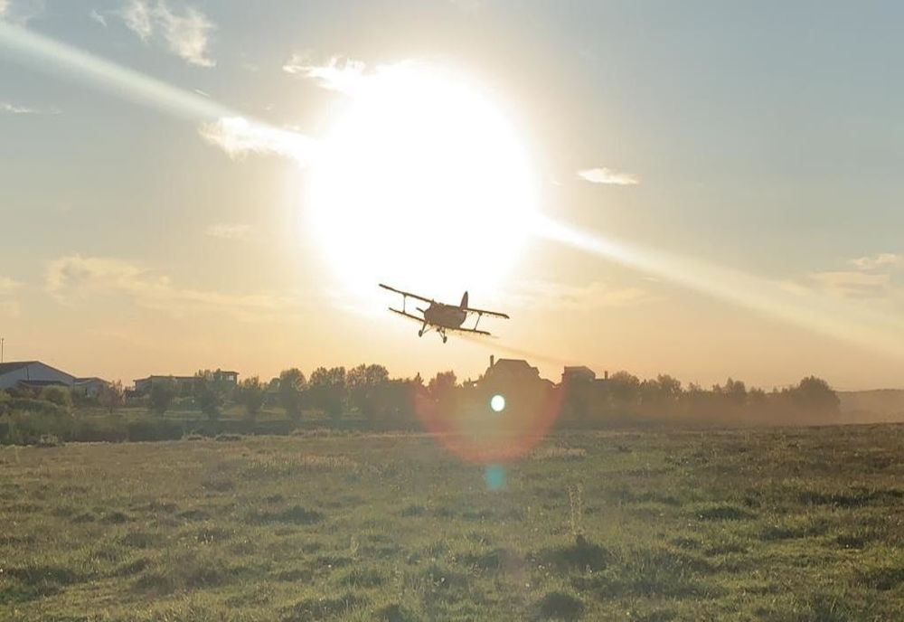 A început dezinsecția aeriană în Ilfov