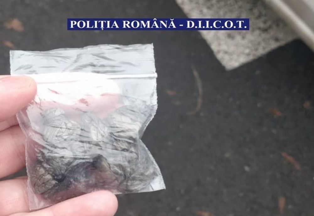 Percheziții în Ilfov la un bărbat suspectat că distribuie cocaină