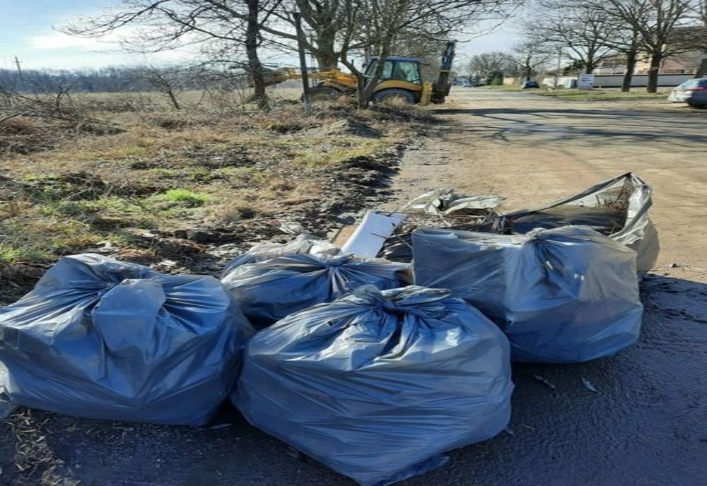 Un grup de cetățeni din Pantelimon, inițiativă de strângere a deșeurilor din oraș