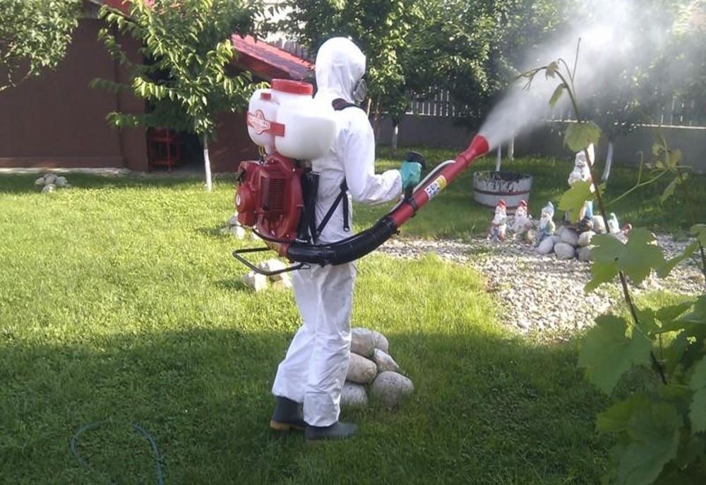 Județul Ilfov a înregistrat doar șase cazuri de meningo-encefalită în patru ani