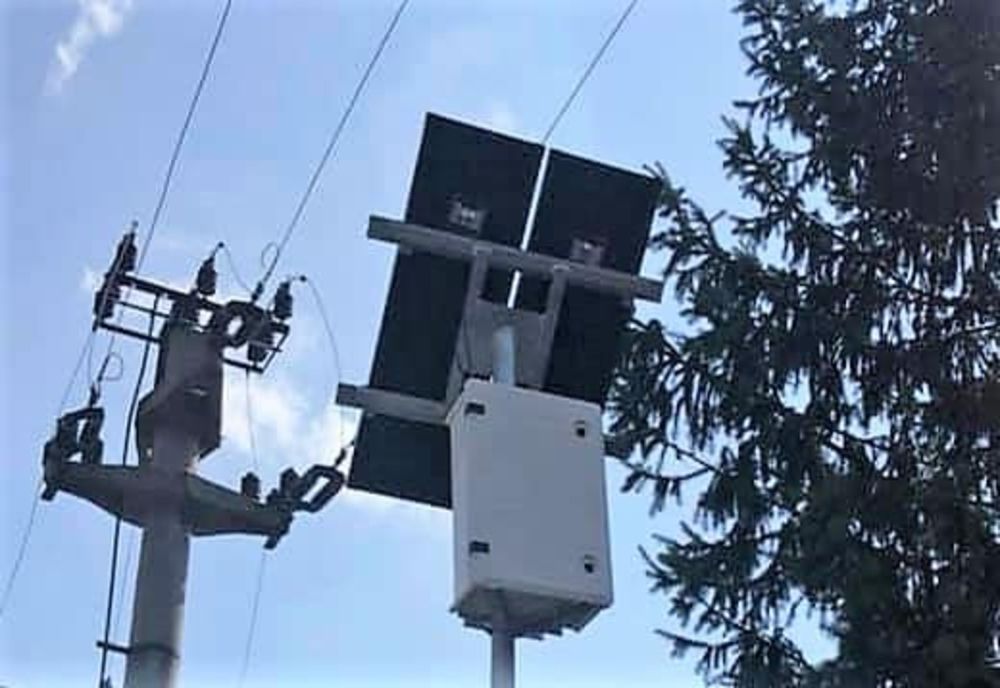 10 camere video, montate în Domnești pentru a preveni abandonul câinilor 