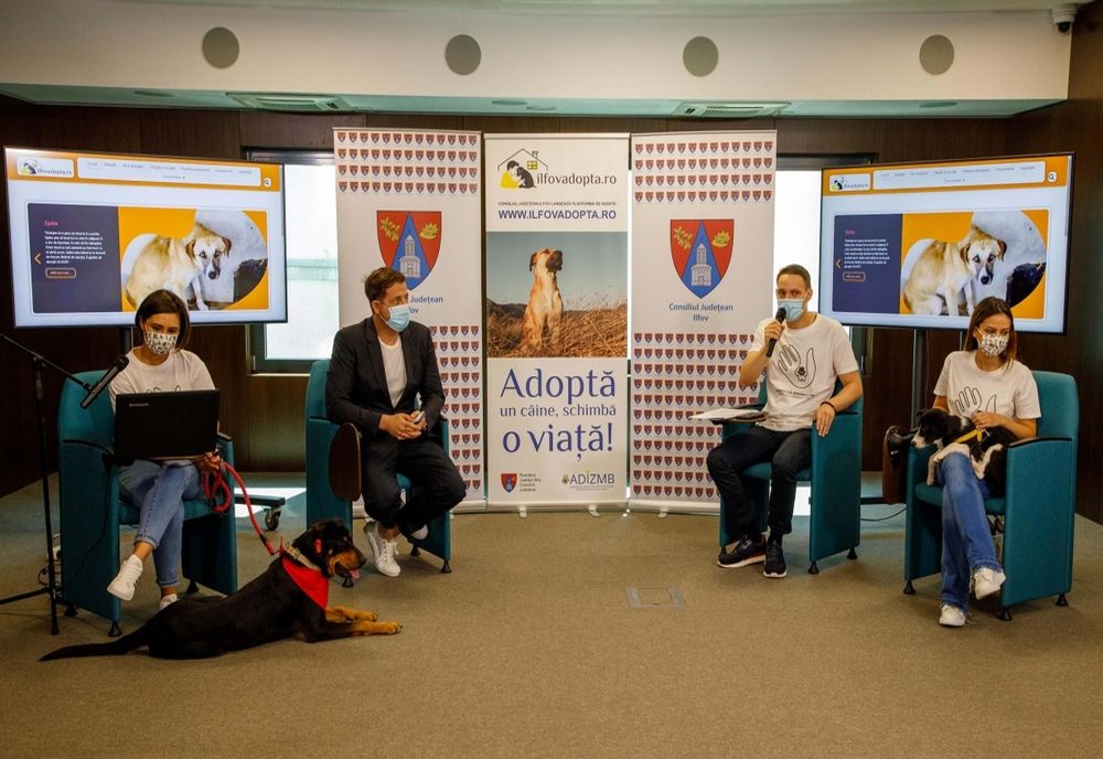 Ilfov. Fotbaliștii din prima ligă, implicați în adopția de câini