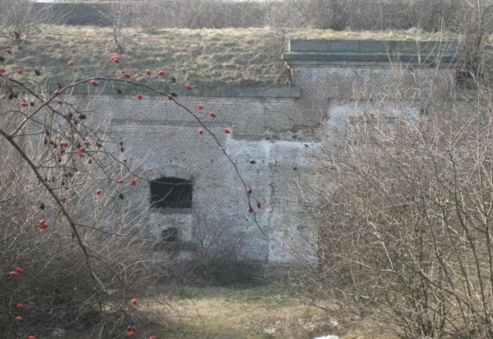 Fort realizat de regele Carol I, de vânzare la Bragadiru