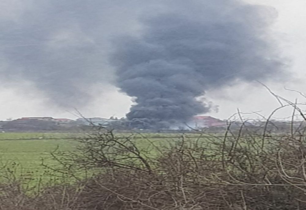 Ilfov. Arderi ilegale la Sinteşti