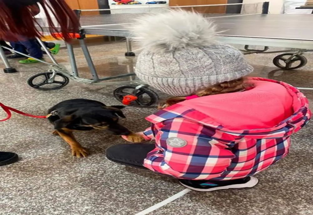 Câinii de terapie au ajuns și la copiii ucraineni refugiați la Măgurele