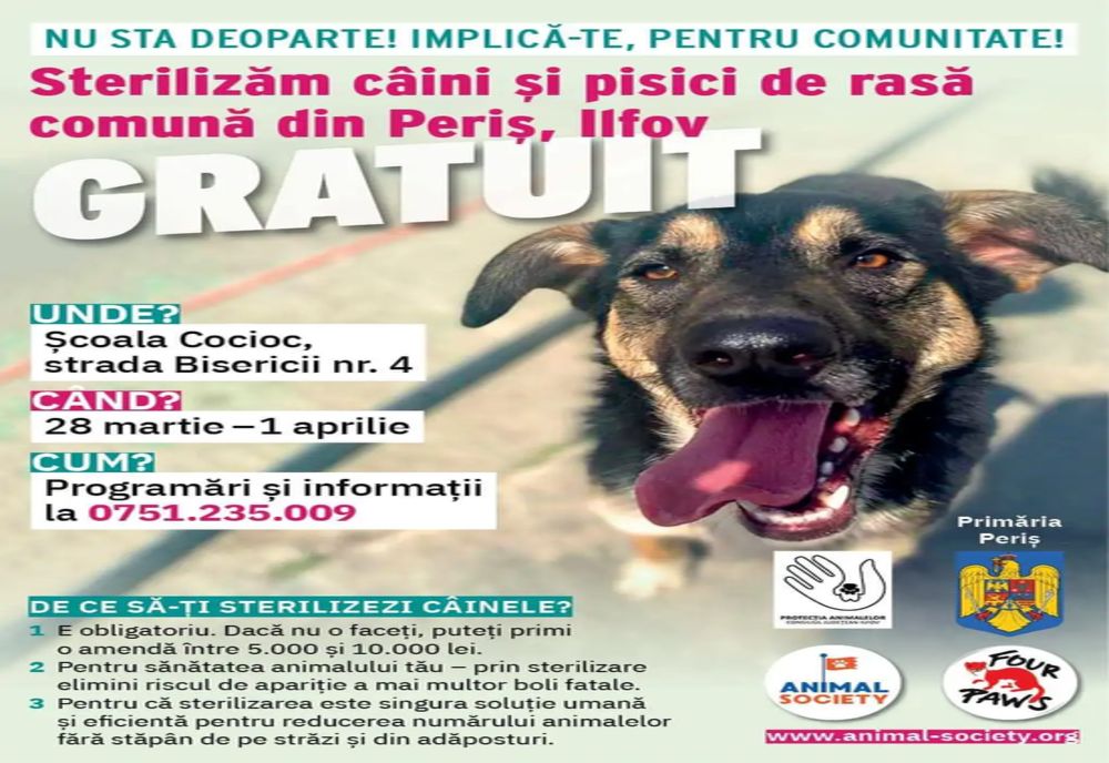 Campanie de sterilizări gratuite la Periș