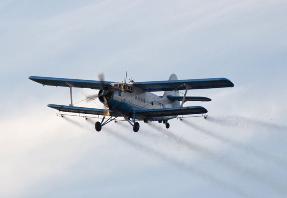 Ilfov. Continuă campania anti-țînțari