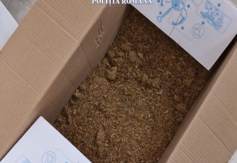 Update. Percheziţii la Ilfov la persoane bănuite de nerespectarea regimului armelor şi muniţiilor, furt, camătă şi şantaj