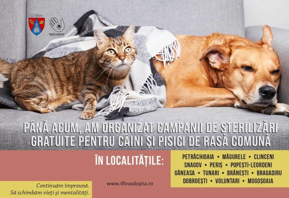  Sterilizări gratuite continuă în judeţul Ilfov