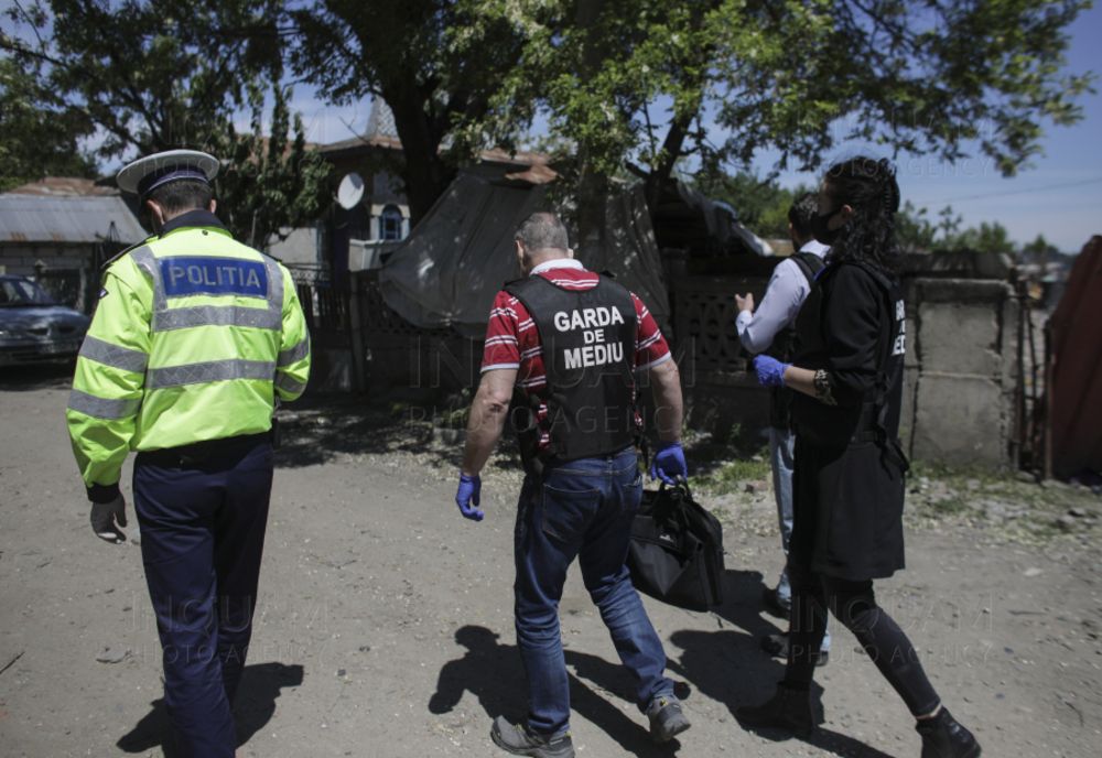 Acţiune a poliţiştilor şi comisarilor Gărzii de Mediu ilfoveni, pentru prevenirea şi combaterea faptelor ilegale privind protecţia mediului