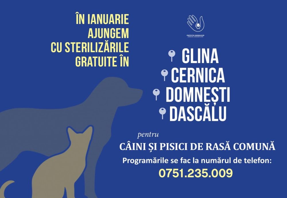 Ilfov. Sterilizări gratuite în Glina, Cernica, Domneşti şi Dascălu 