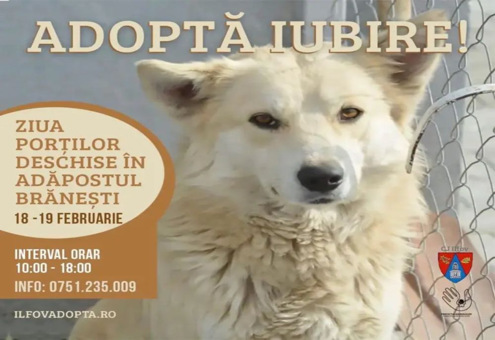 Ziua Porților deschise la adăpostul Brănești