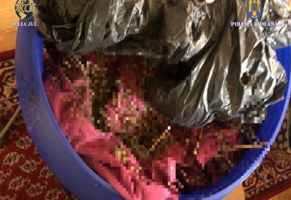 Ilfov. Bărbaţi arestaţi preventiv pentru trafic de droguri de risc şi cu produse susceptibile a avea efect psihoactiv