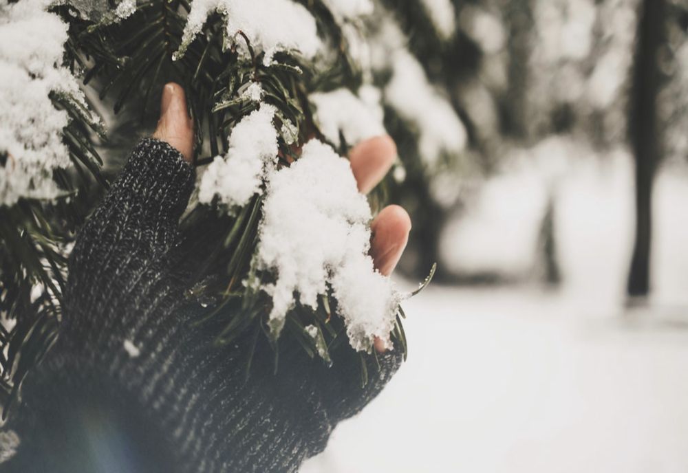 STRATUL DE ZĂPADĂ AR PUTEA AJUNGE LA 40 CM ÎN BUCUREȘTI, ÎN URMĂTOARELE ZILE