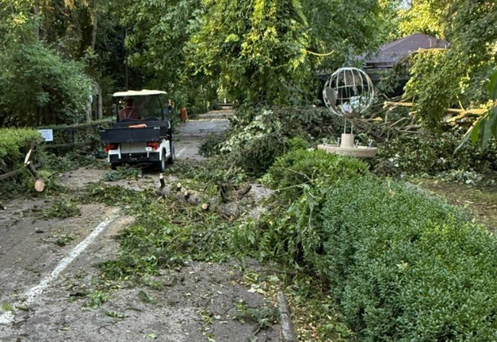 GRĂDINA ZOOLOGICĂ DIN BUCUREȘTI, ÎNCHISĂ TEMPORAR DUPĂ FURTUNA DIN 17 IULIE