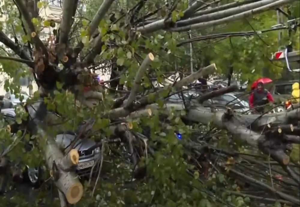 COPAC CĂZUT PESTE MAI MULTE MAȘINI, ÎN BUCUREȘTI VIDEO