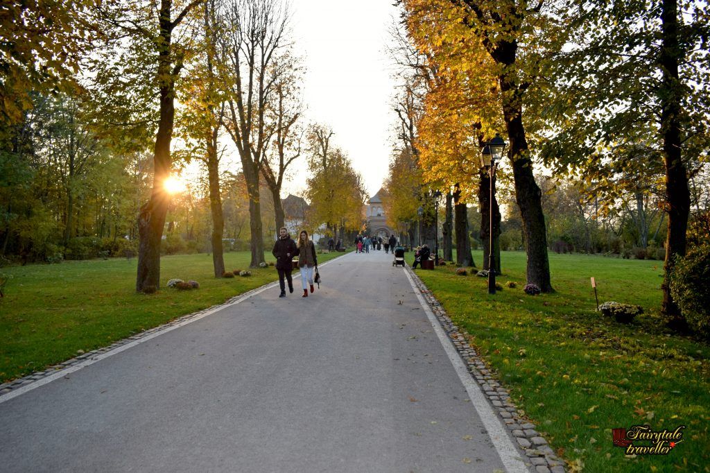 „POTECA DOVLECILOR FERMECAȚI” TRANSFORMĂ PARCUL MOGOȘOAIA ÎNTR-UN SPECTACOL DE LUMINĂ ȘI CULOARE