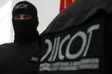 Șapte suspecți reținuți în dosar de trafic de droguri. Stupefiante de peste 25 de milioane de euro, ascunse în TIR-uri