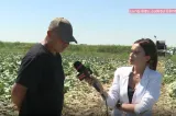 Alertă națională: mâncarea s-ar putea scumpi cu până la 10%