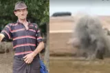 Dronă cu explozibil găsită pe un câmp din Vaslui. Ce a făcut ciobanul înainte să cheme Poliția