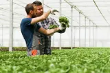 APIA începe plata avansurilor pentru fermieri. Când intră banii în conturi