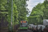 Liniile 100, 203 și 205 din București își modifică traseele în weekend. Restricții pe Șoseaua Kiseleff