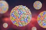 INSP: 12 cazuri de infecție cu virusul West Nile, confirmate în județul Ilfov în 2026