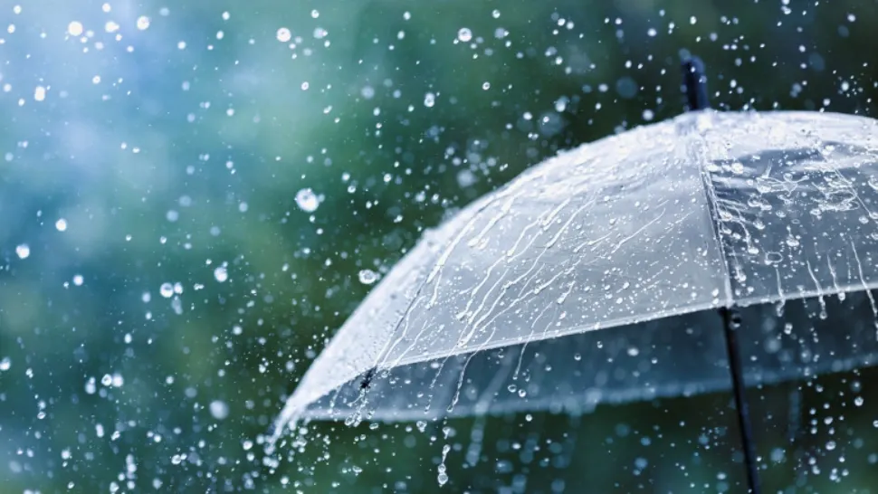 Umbrelă / Ploaie