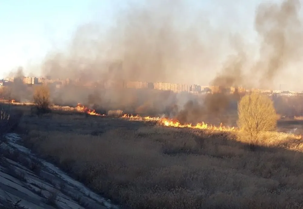 Incendiu violent în Delta Văcărești din Capitală. Ard 20 de hectare cu vegetație