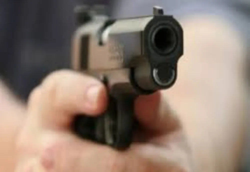 Găneasa, Ilfov: Individul care a tras cu pistolul, reținut