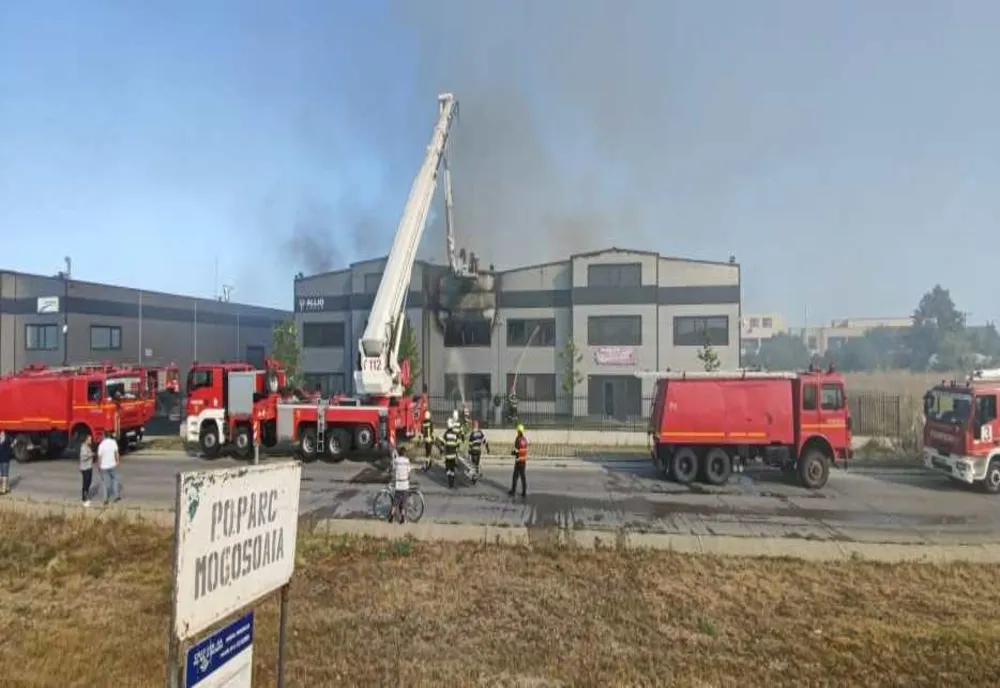 Incendiul de la hala din Mogoșoaia a fost stins după trei ore