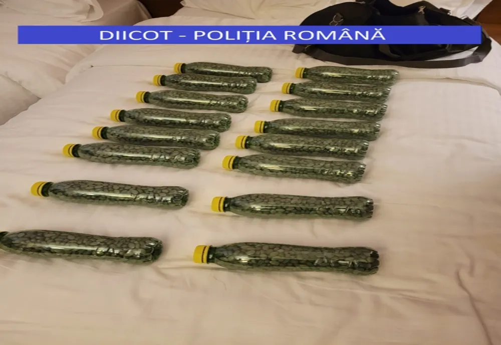 Ilfov. Bărbaţi reţinuţi pentru trafic internaţional de droguri de mare risc