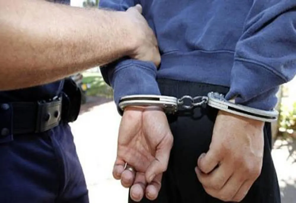 Ilfov. Patru bărbaţi, reţinuţi de poliţişti pentru furt calificat