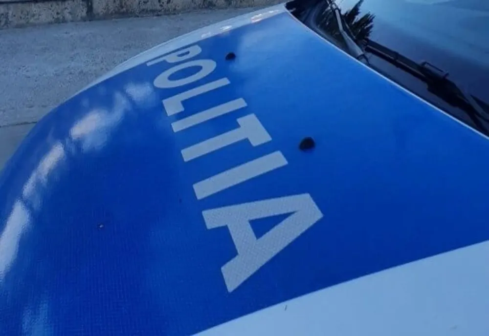 Ilfov. Bătaie între două eleve într-o şcoală din Mogoşoaia