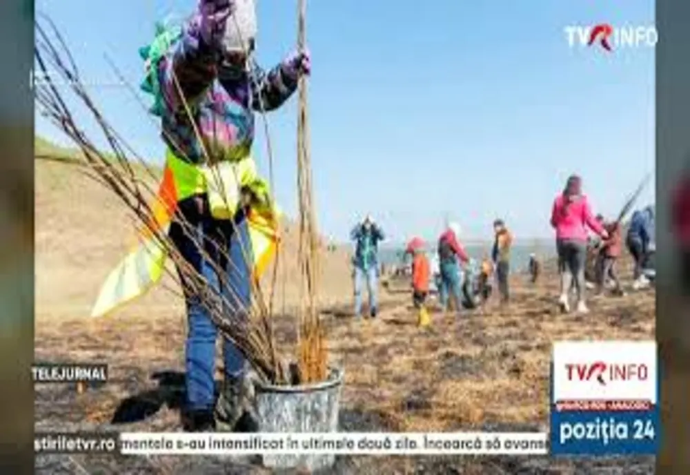 Ilfov. Ziua Pământului, celebrată prin acțiuni de ecologizare. 100 de voluntari au curățat Pădurea Băneasa, care era sufocată de gunoaie