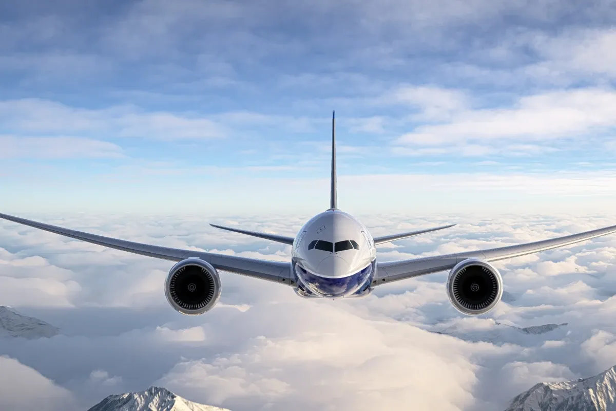 Avion în zbor