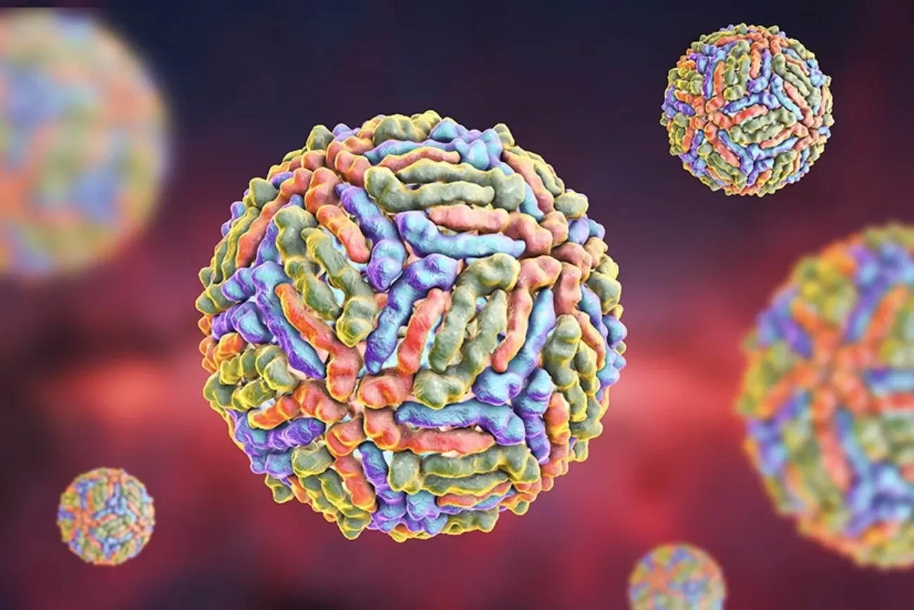 West Nile virus