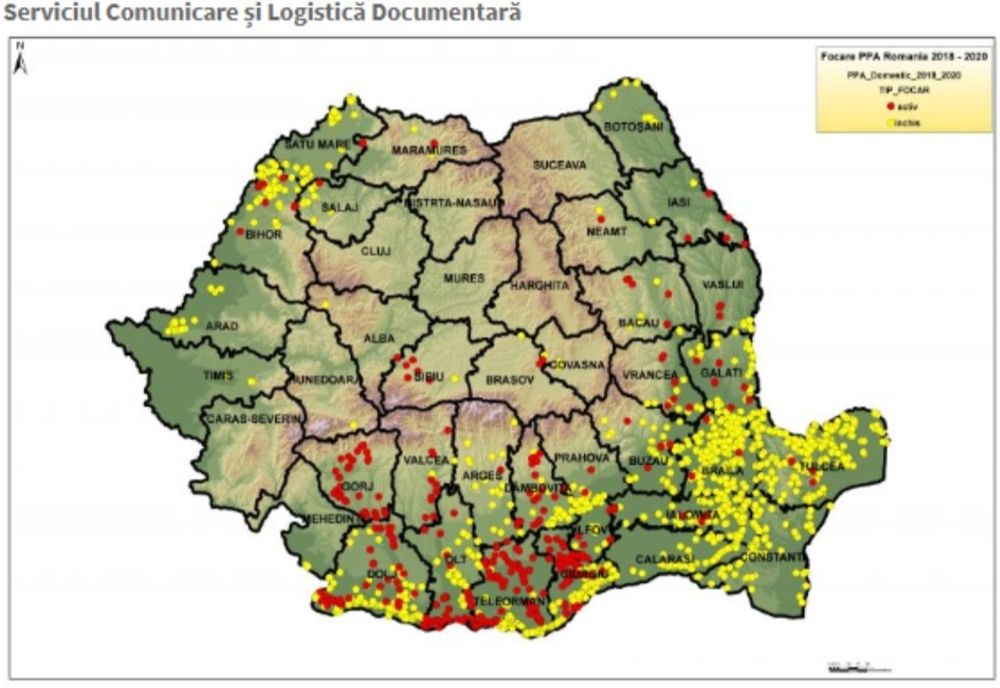 Situația privind evoluția pestei porcine africane la nivelul județului Ilfov