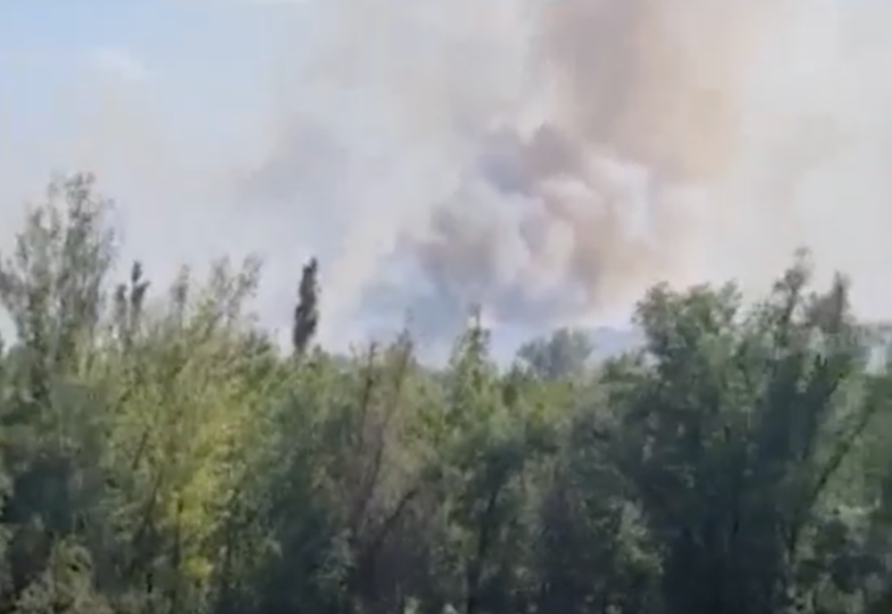 Incendiu de vegetație în Capitală, în zona Ghencea