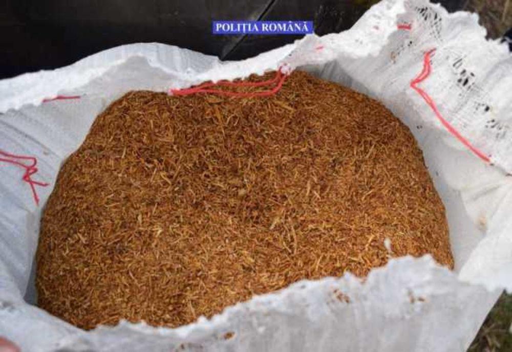 Percheziții în Ilfov la persoane acuzate de contrabandă cu tutun