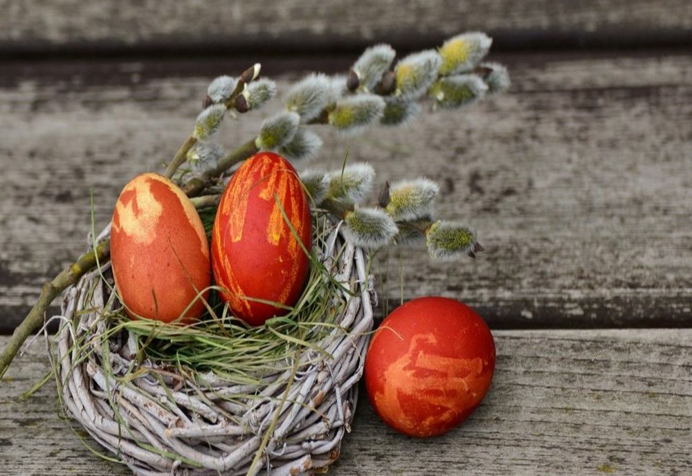 Realitatea de Ilfov vă urează „Paște fericit!”