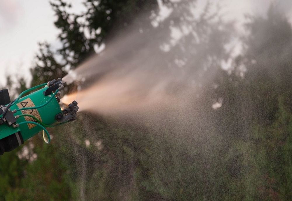 Pantelimon: 6 – 8 august – acțiune pentru combaterea insectelor de disconfort